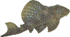 Pflege